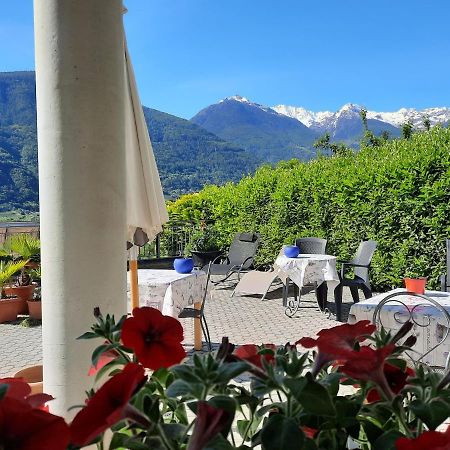 B&B Il Grappolo Bianzone Exteriér fotografie