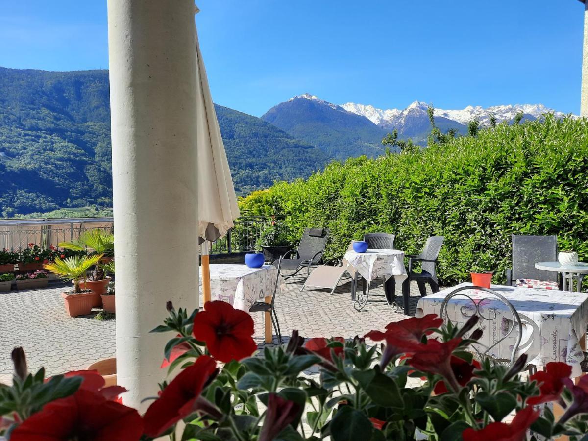 B&B Il Grappolo Bianzone Exteriér fotografie