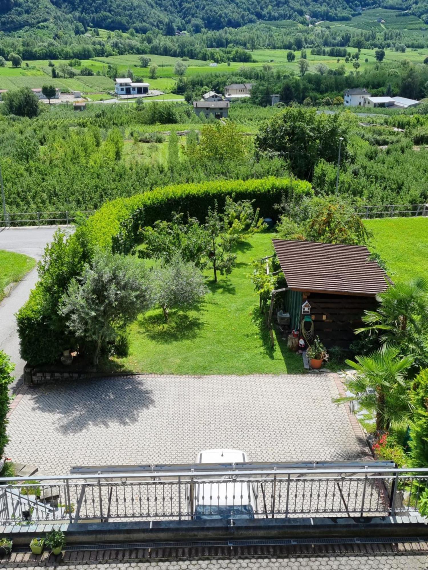 B&B Il Grappolo Bianzone Exteriér fotografie