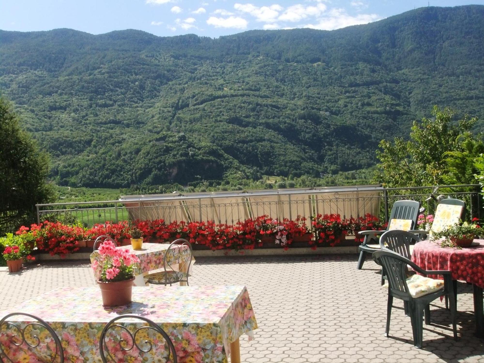 B&B Il Grappolo Bianzone Exteriér fotografie