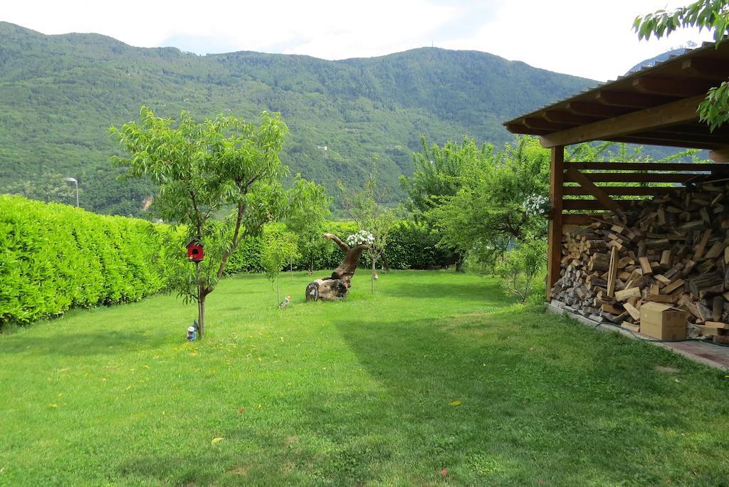 B&B Il Grappolo Bianzone Exteriér fotografie